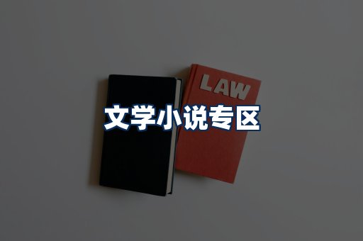 文学小说PDF展示